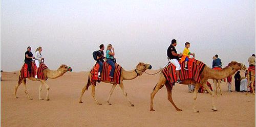 Camel Riding tours